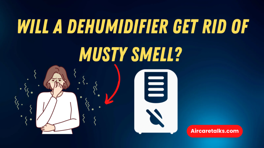 Will a Dehumidifier Get Rid of Musty Smell? 